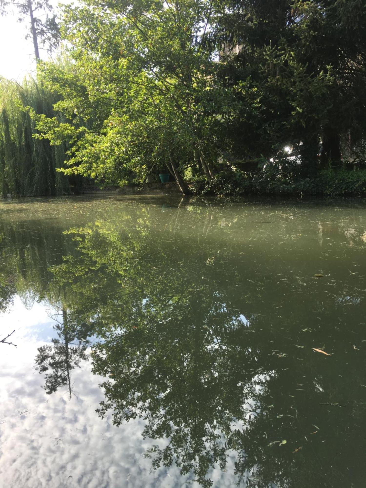Vila Moulin De Coupigny Fontenille-Saint-Martin-d'Entraigues Exteriér fotografie